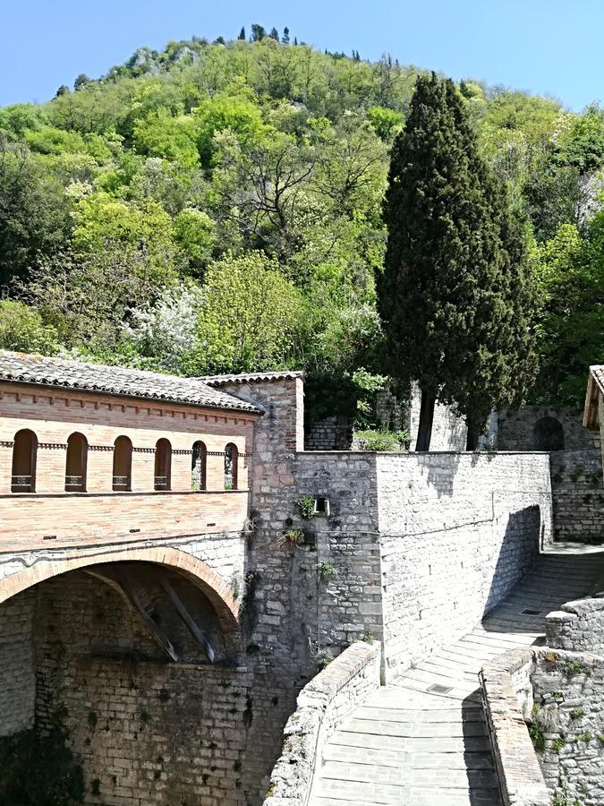 Hotel Civico 10 Gubbio Zewnętrze zdjęcie